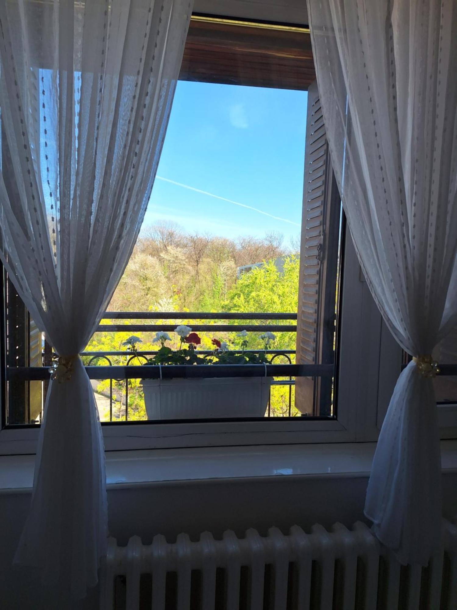 Rivijera Green Belgrade Luaran gambar