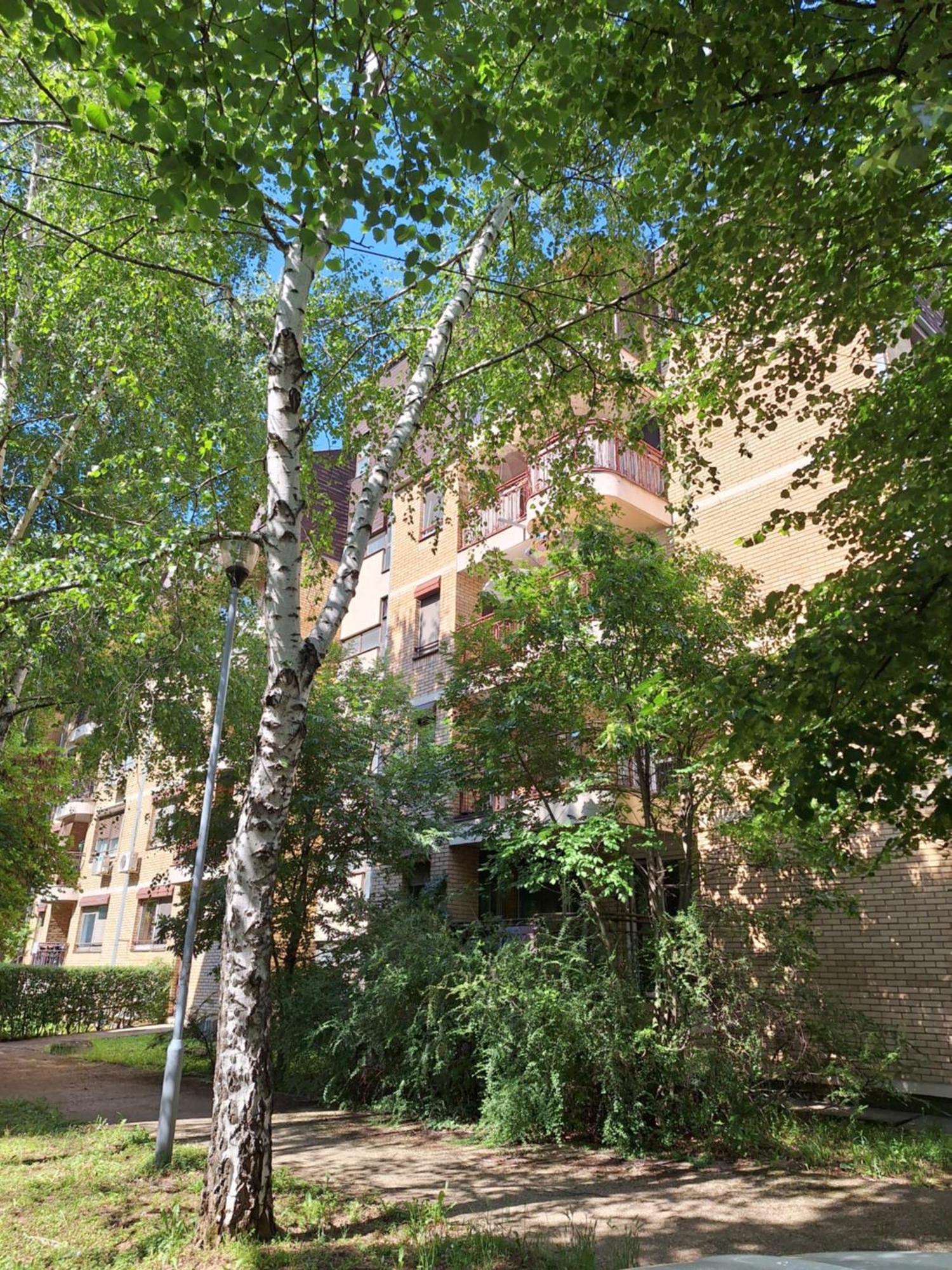 Rivijera Green Belgrade Luaran gambar
